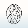 Image of a brain