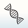 Outline of DNA