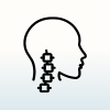 Outline of the spine leading into the head